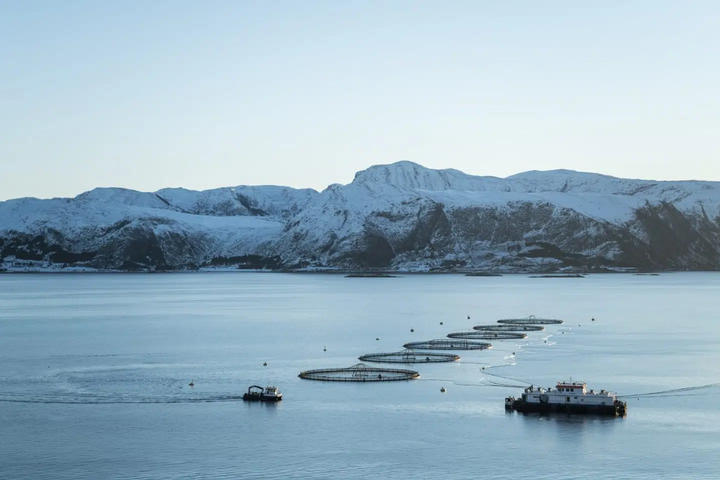 Her ses et af de steder, hvor Mowi opdrætter laks