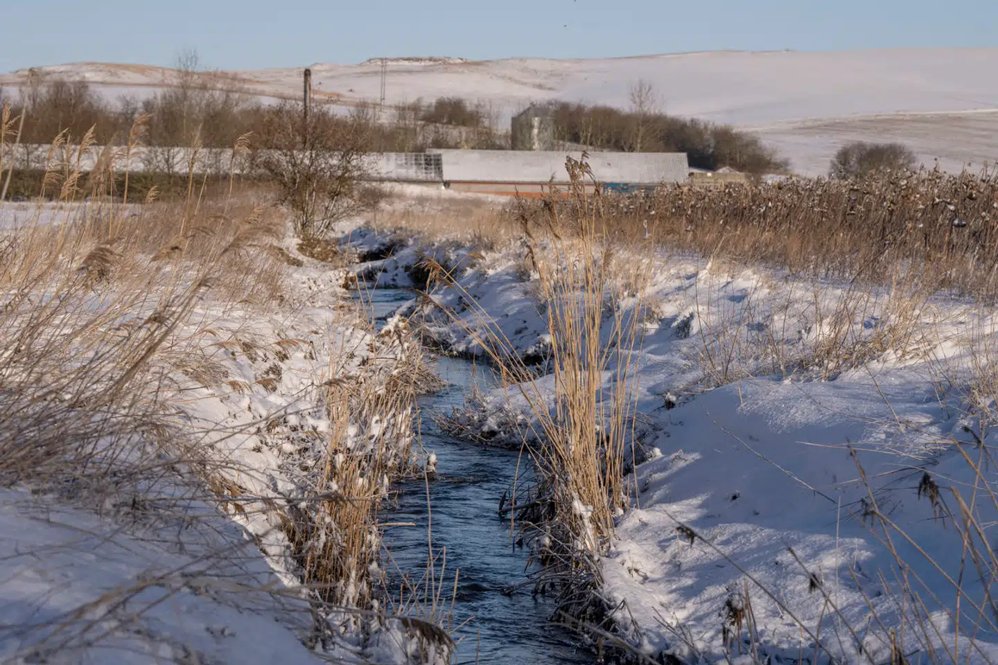 Det er her, i Alling Å ved Hinge bag bakken ved Nordic Waste, at miljøkatastrofen ligger på lur.