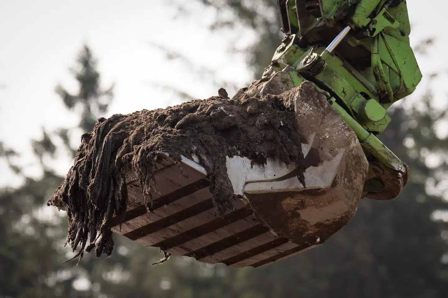 De sidste mink graves op fra minkgravene ved Kølvrå og kørt til forbrænding mandag den 12. juli 2021.