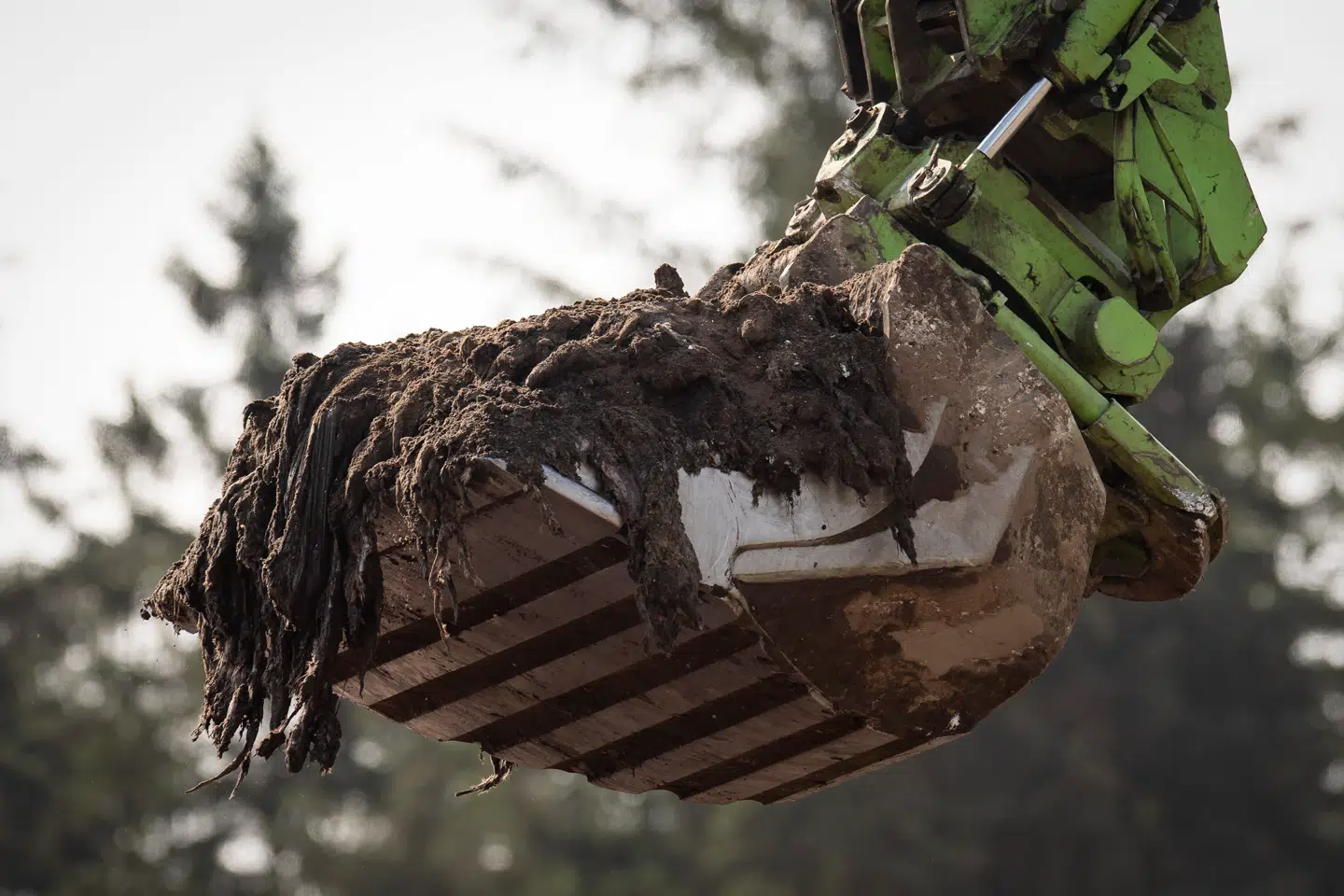 De sidste mink graves op fra minkgravene ved Kølvrå og kørt til forbrænding mandag den 12. juli 2021.