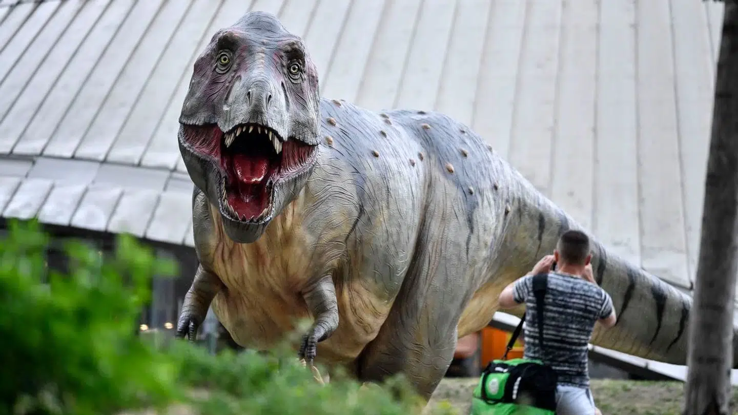 En mand tager et billede sekunder inden, han bliver fortæret levende.. ej, det er gas. Forskere mener nu, at Tyrannosaurus Rex havde en 'lillebror'.