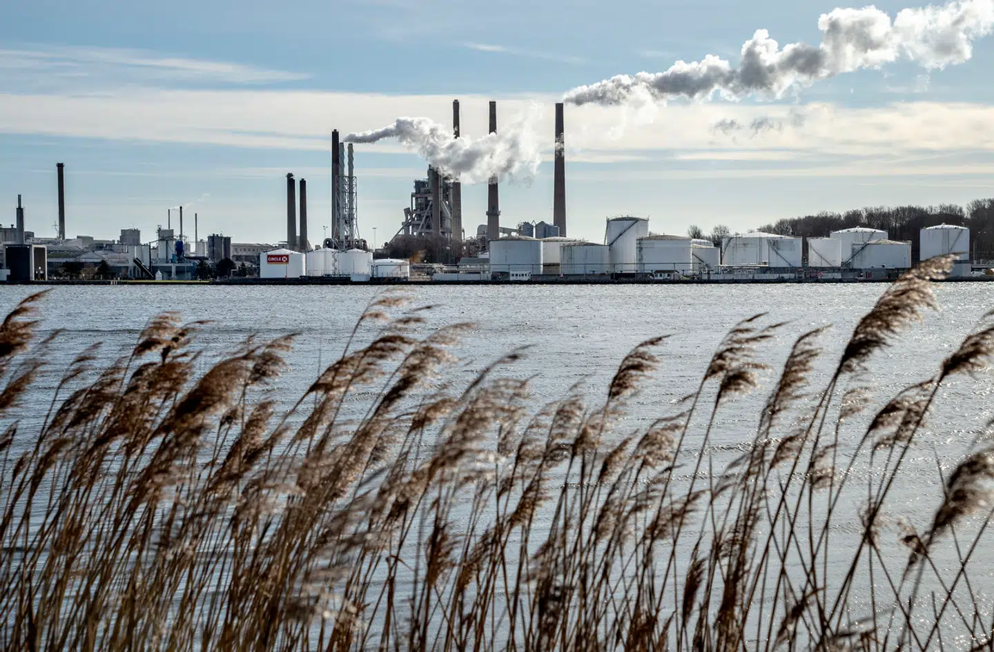Cementfabrikken Aalborg Portland udleder omkring 2,2 millioner tons CO₂ om året. Det er næsten 14 gange mere end den næststørste udleder, Nordic Sugar. Foto: Henning Bagger/Ritzau Scanpix