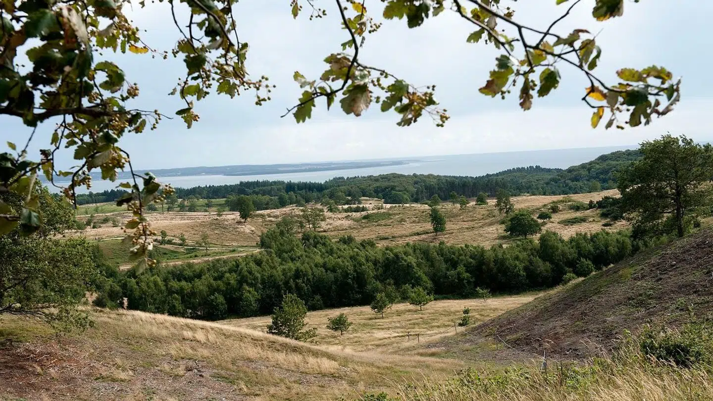 (ARKIV) Nationalpark Mols Bjerge.