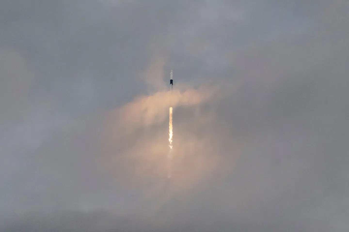 Rigmanden Elon Musk ejer SpaceX og er også administrerende direktør for elbilgiganten Tesla samt ejer af det sociale medie X, som før var kendt som Twitter. (Arkivfoto).