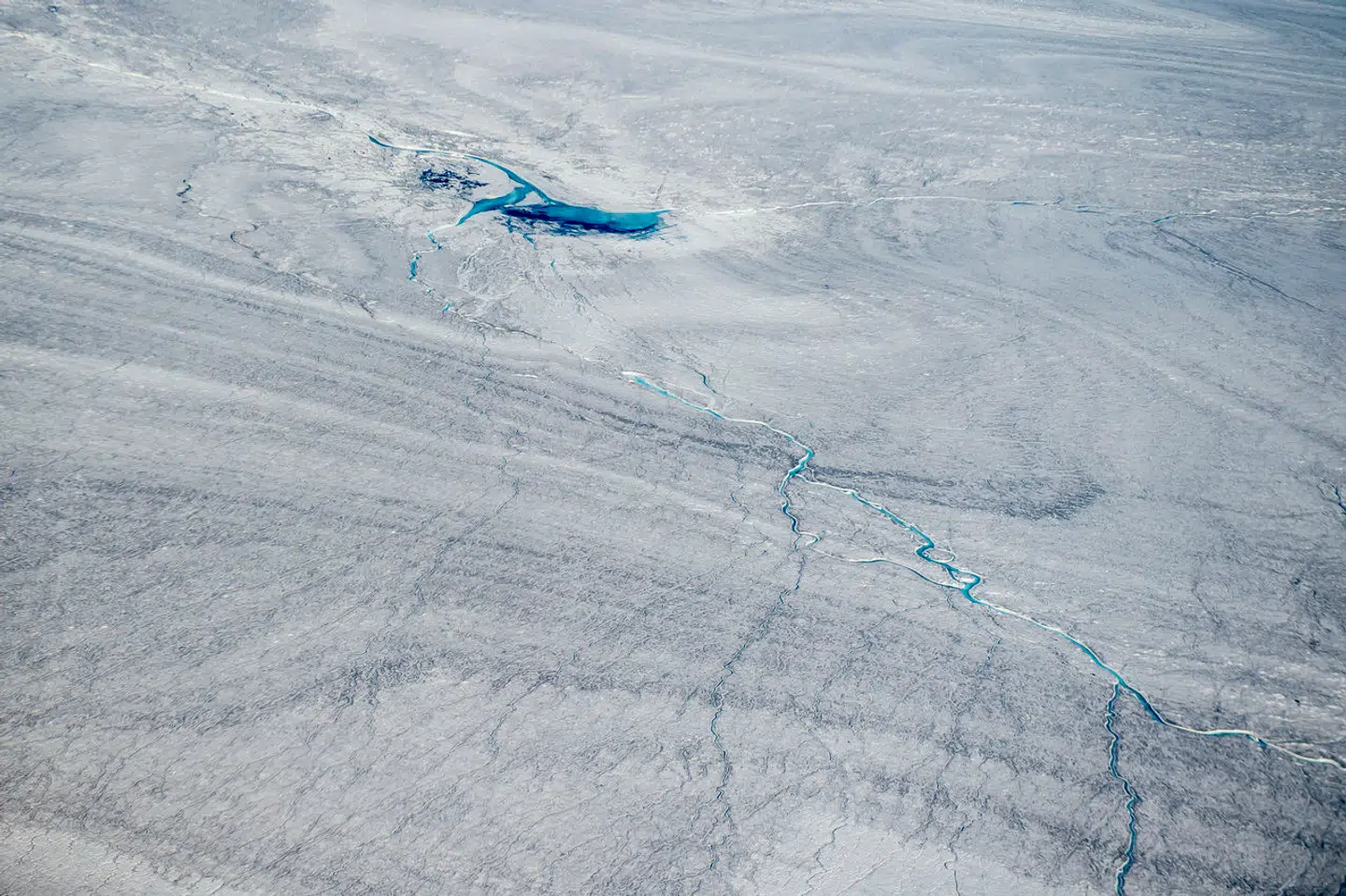 Det høje niveau af kviksølv i smeltevandet fik Landlægeembedet i Grønland til at advare om mulige hjerneskdaer, hvis man spiste meget grønlandsk mad. Foto: Mads Claus Rasmussen, Scanpix