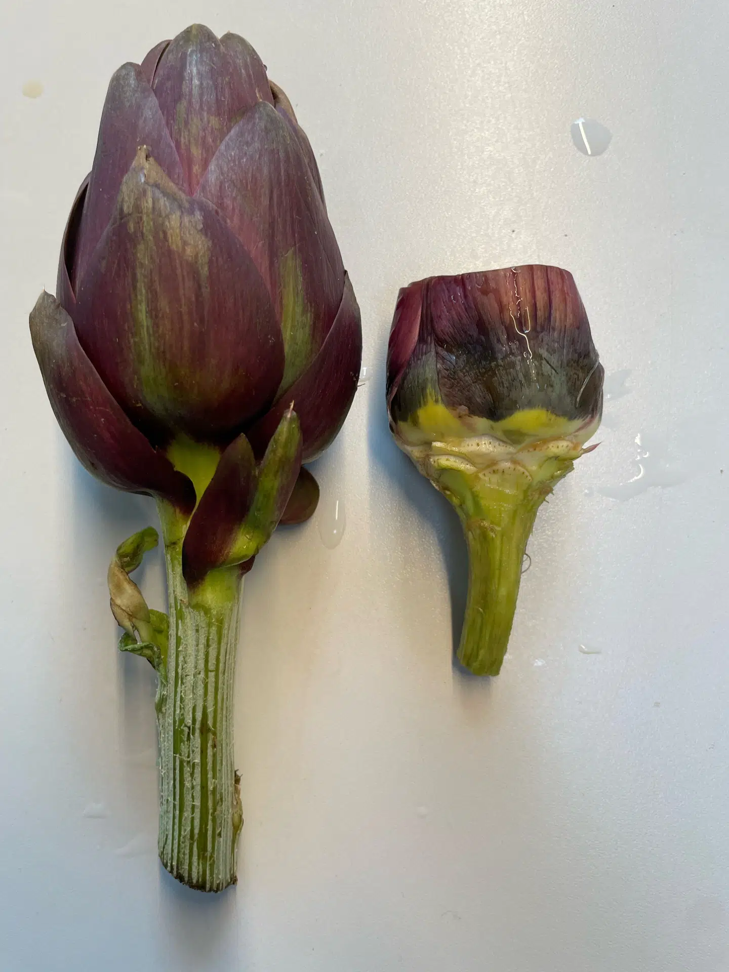 Artiskok. Før og efter beskæring.
