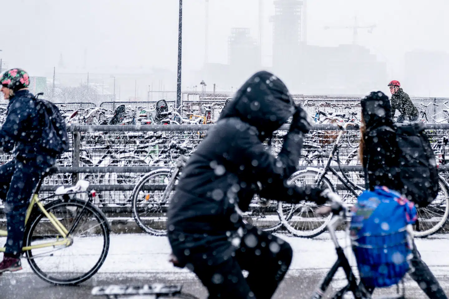 Selv i vinterens snevejr krydser cyklisterne Dybbølsbro i København. Nu vil et politisk flertal give dem endnu bedre plads.
