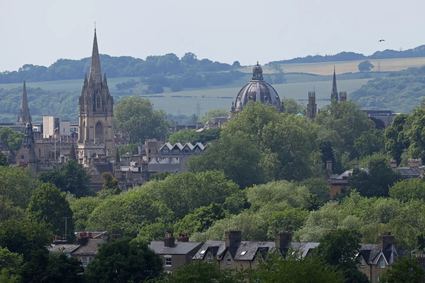 - Situationen er ved at blive rystende, siger professor Dorothy Bishop, der har sin daglige gang her på Oxford University i England. (Arkivfoto).