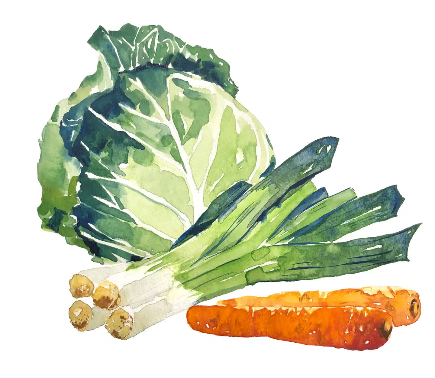 Illustration: Peter Wandel