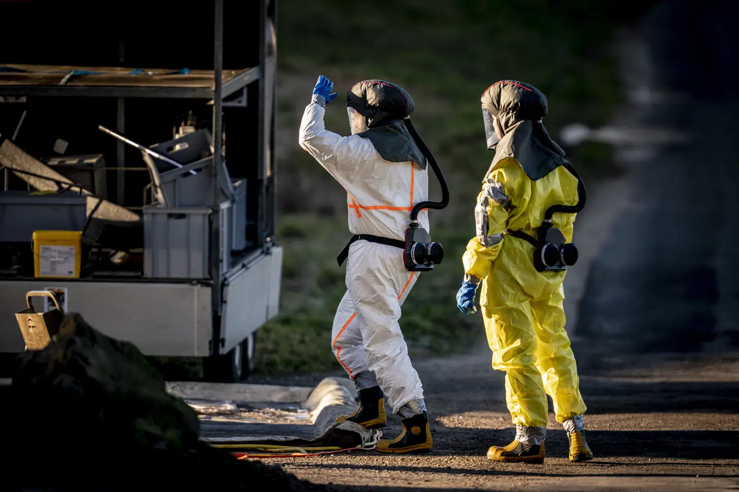 Fødevarestyrelsen og Beredskabsstyrelsen vil fra fredag aflive omtrent 40.000 høns efter fund af fugleinfluenza. (Arkivfoto).