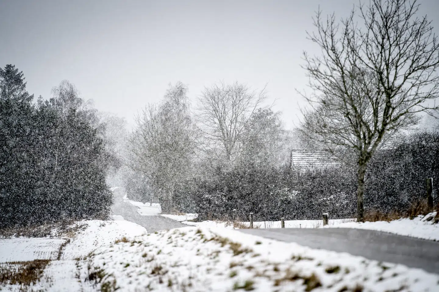 I de østlige egne kan der fredag komme op til 5 centimeter sne, mens der i Jylland kan komme mellem 5 og 15 centimeter sne. Lokalt kan der falde op til 20 centimeter. (Arkivfoto).