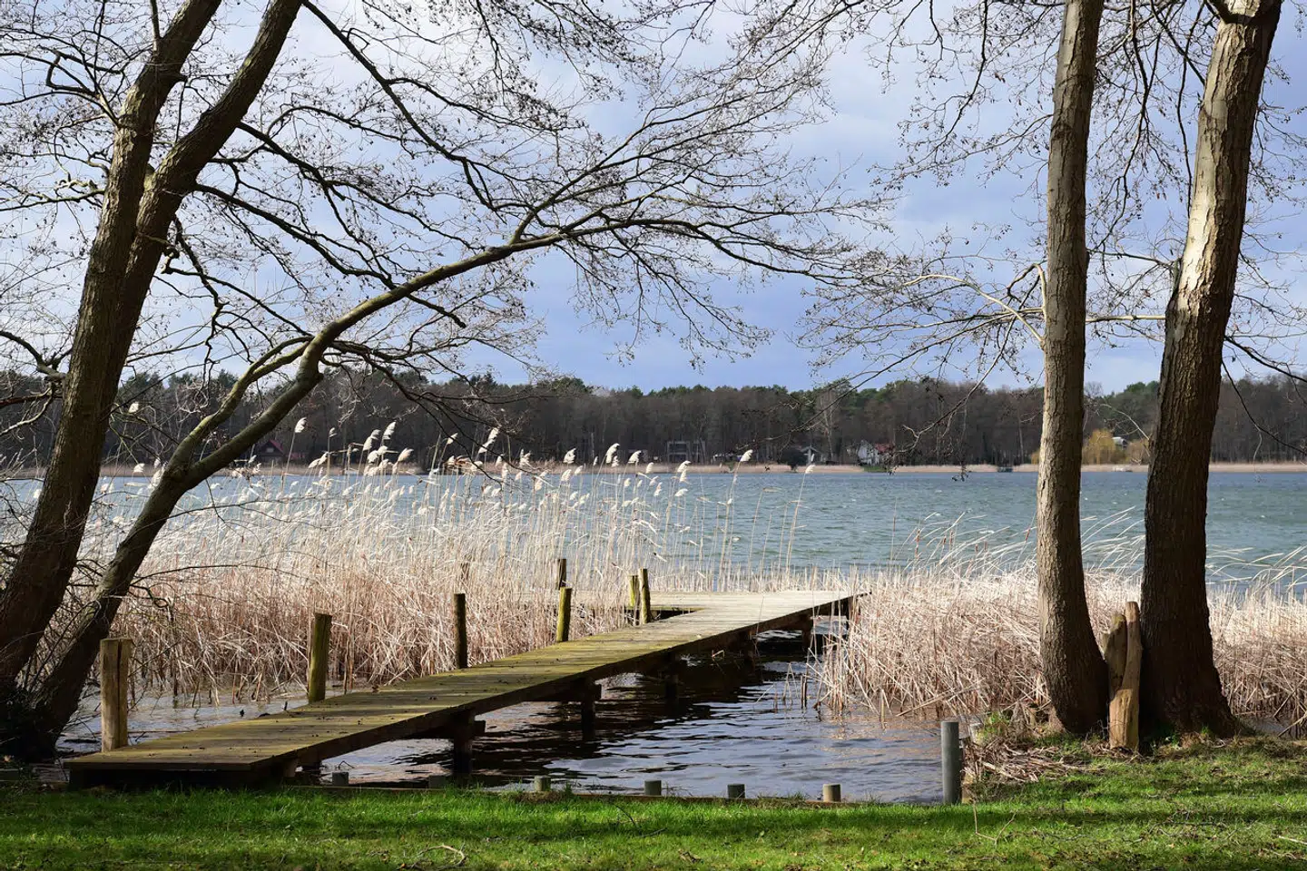 Gabriele Lieskes barndomshjem ligger tæt ved Wandlitz-søen (billedet) og er i dag et tocifret millionbeløb værd. Og hun skal ud, fordi – viser det sig – det slet ikke er hendes hus og aldrig har været det.