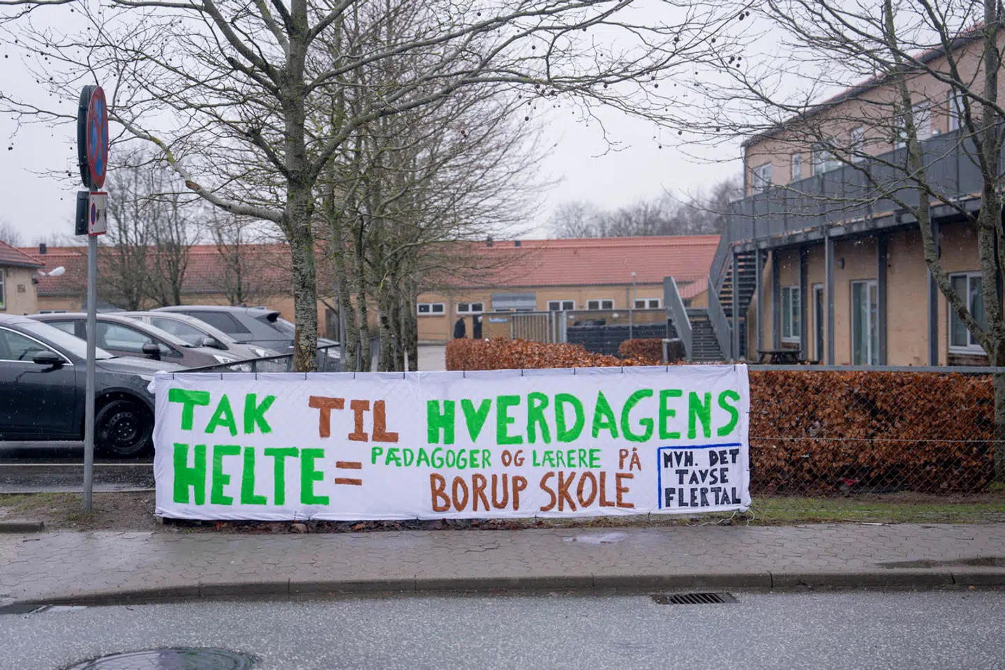 Vold og krænkende adfærd, Borups skole