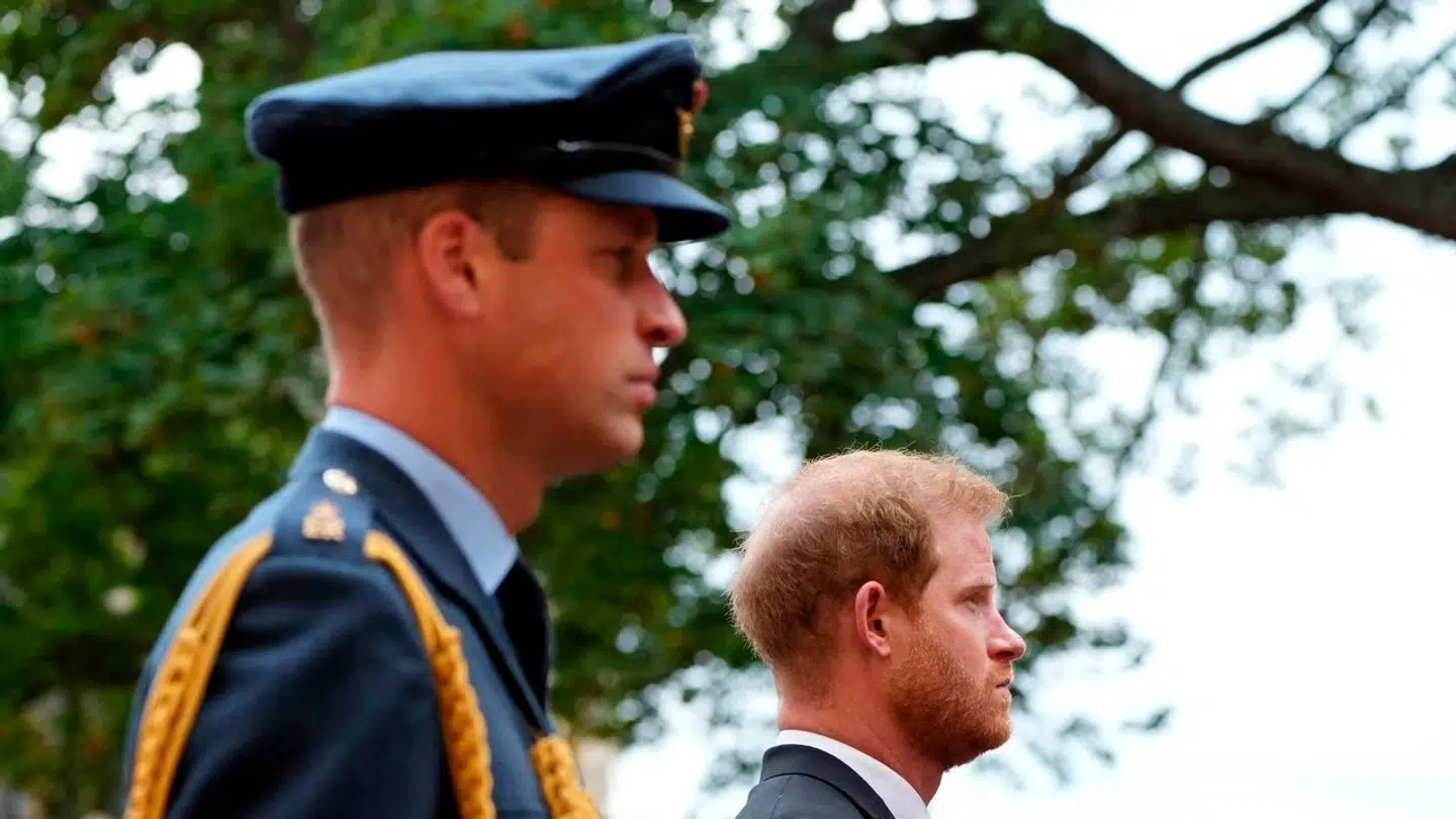 Forholdet mellem prins William og prins Harry er også anstrengt.