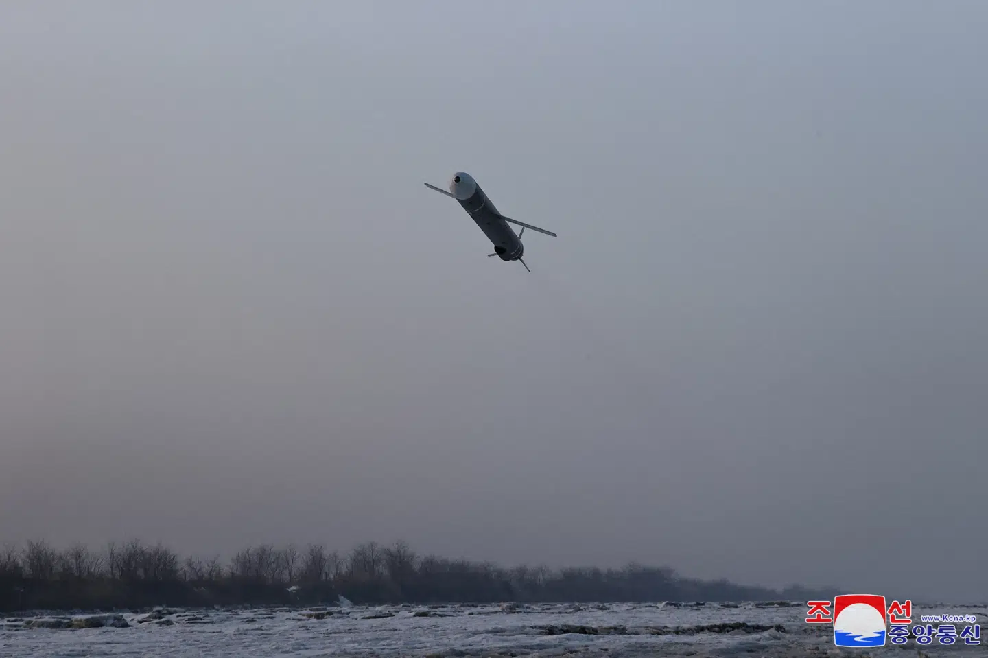 Billede fra januar som er offentliggjort af det statslige nordkoreanske nyhedsbureau, KCNA. Det viser angiveligt en tidligere nordkoreansk test af et krydsermissil.