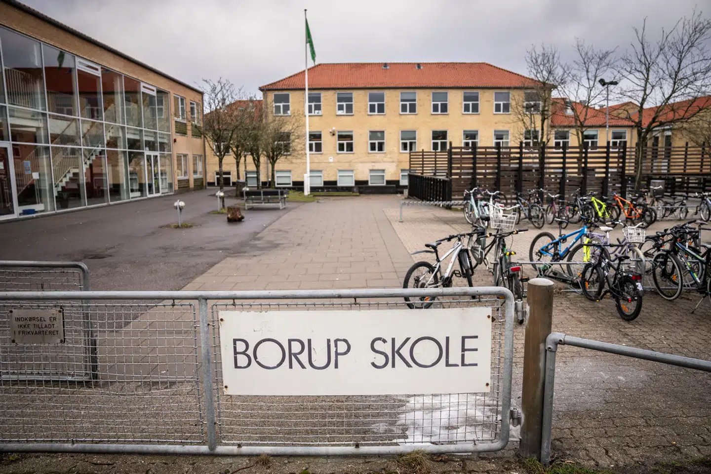 Mandag kunne TV 2 fortælle, at flere børn i alderen 6-11 år er blevet udsat for trusler, vold og seksuelle overgreb begået af en gruppe jævnaldrende børn på Borup Skole i Køge.
