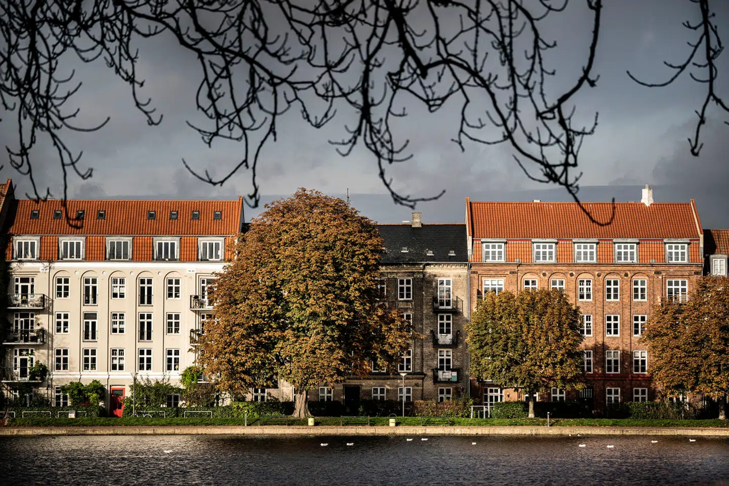 Lejlighedsbyggerier ved Søerne i København. Boliger. Udsigt. Ejendomme. Bolig. Murstenshus. Bygning. Bygninger. Hus. Lejlighed. Lejligheder. Boligkvarter. Lejlighedsbyggeri.