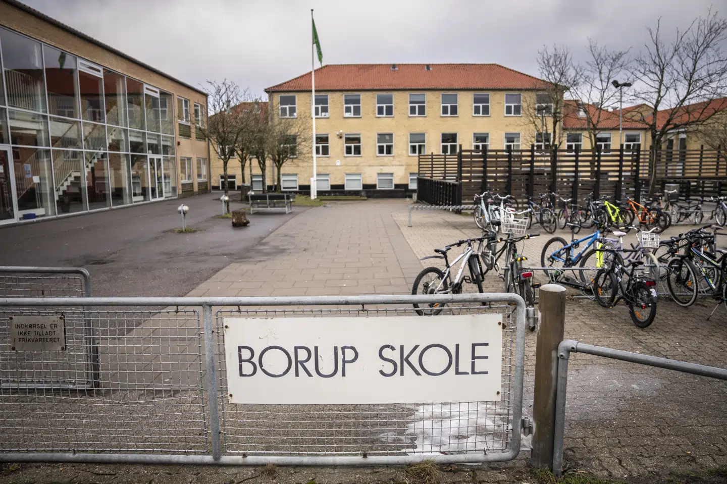 Borup Skole er i vælten, efter en række krænkelsessager er kommet frem i medierne.