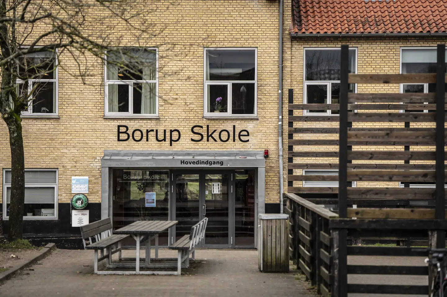 Der går 600 børn på Borup Skole, der har været i vælten efter en række krænkelsessager. (Foto: Mads Claus Rasmussen/Ritzau Scanpix)