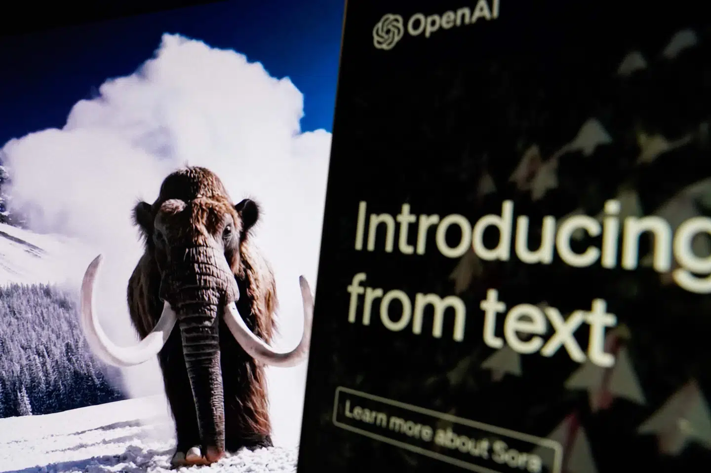Brugerne kan komme med input til både stil og indhold af videoklip, der kan vare op til et minut. Sora kan generere komplekse scener med flere karakterer, bevægelser og nøjagtige detaljer, har OpenAI oplyst.