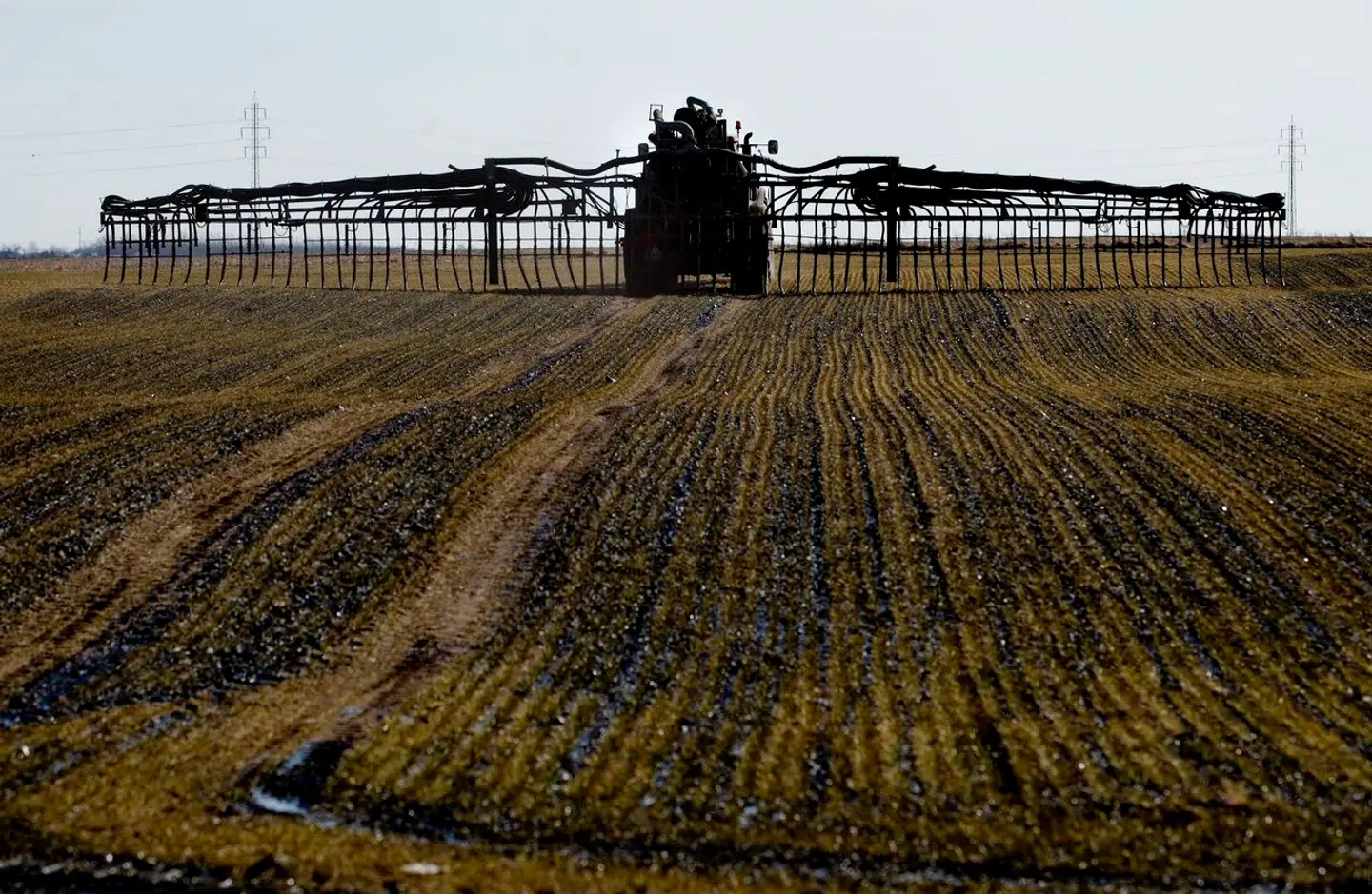 Det er tydeligt, at regeringen endnu ikke har taget tyrene ved hornene hvad angår handling på klimaområdet, skriver en lang række ungdomsorganisationer.