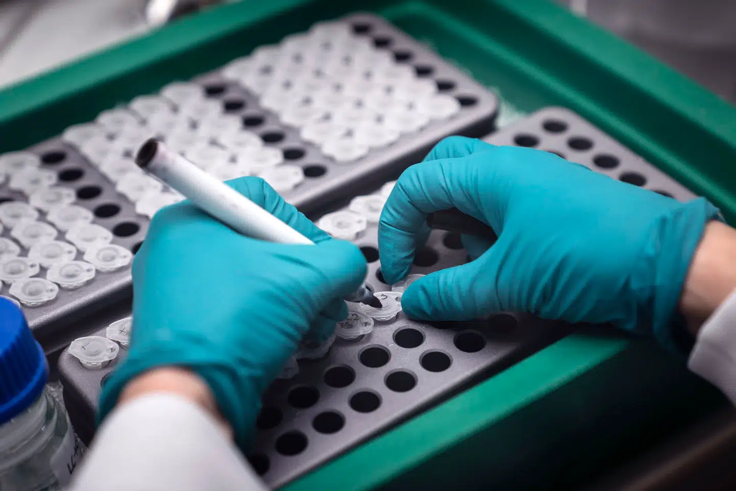 Der er travlhed hos Novo Nordisk. Uden medicinalindustrien ville 2023 have været et lige så forkølet år for danskerne, som det er tilfældet i resten af EU.