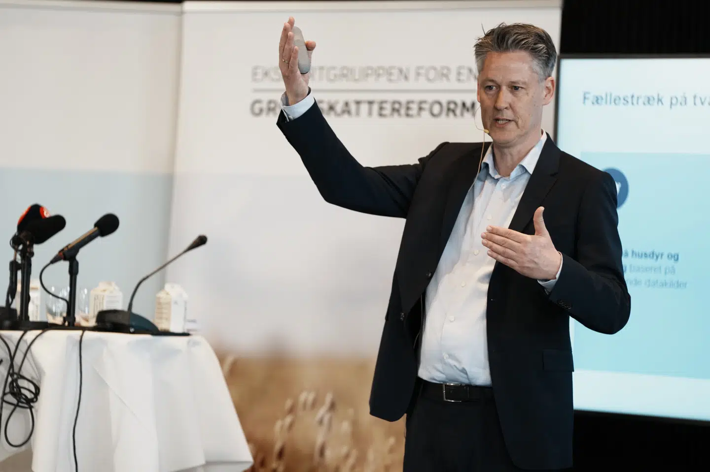 Det er det såkaldte Svarer-udvalg, opkaldt efter formanden for udvalget, professor Michael Svarer, der onsdag præsenterer sine anbefalinger i en rapport.