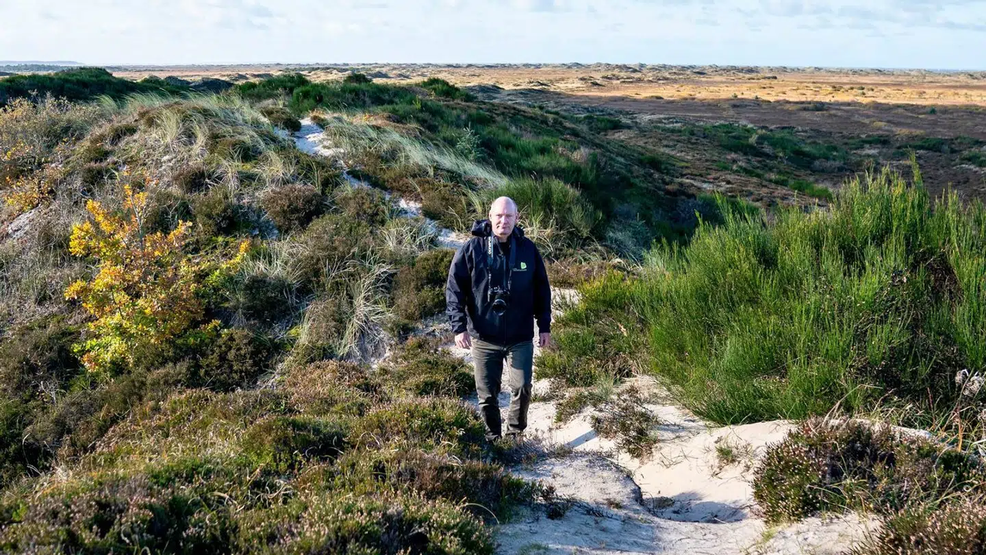 Tranum Klitplantage udpeget til ny naturnationalpark. Det er endnu ikke etableret.
