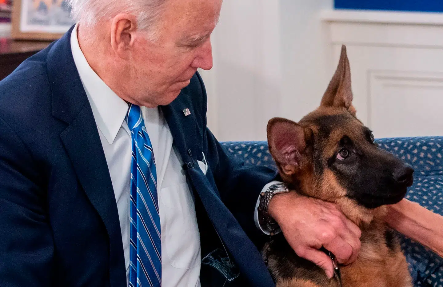 Joe Biden i 2021 med sin schæferhund som hvalp. Siden har Commander vist at være noget af et problembarn. Arkivfoto: Saul Loeb, AFP / Scanpix