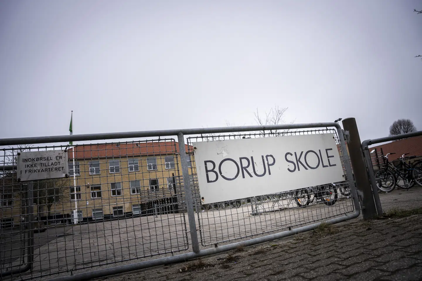 Det er blevet beskrevet af flere medier herunder sn.dk og TV 2, at flere elever i indskoling på Borup Skole angiveligt er blevet udsat for grænseoverskridende adfærd som vold og i nogle tilfælde grove seksuelle krænkelser.