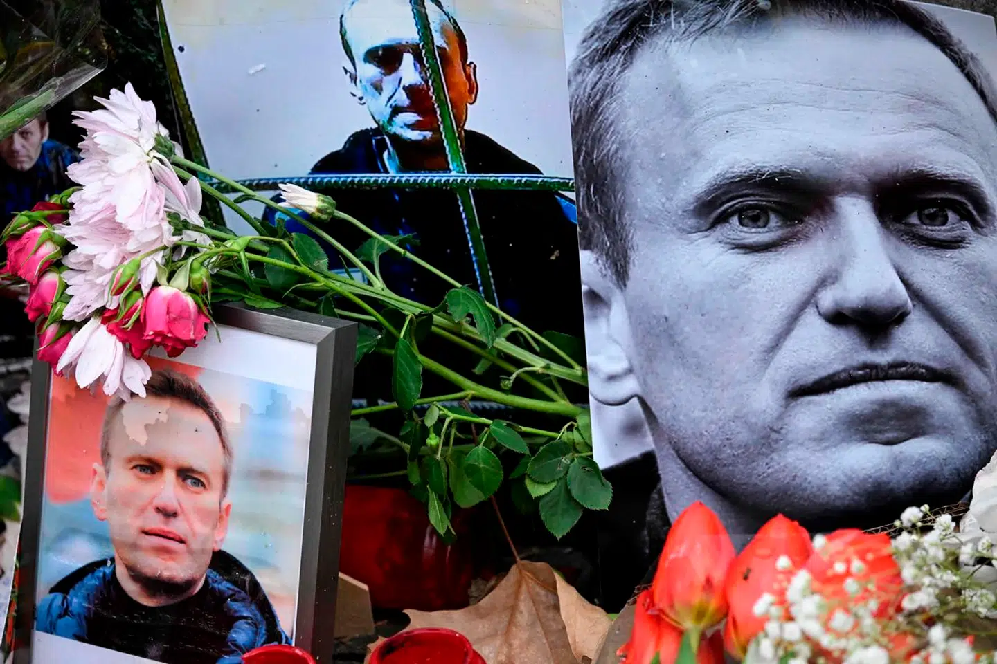 ARKIVFOTO: Den russiske oppositionspolitiker var tæt på at smage friheden, hævder hans talskvinde i en ny video,