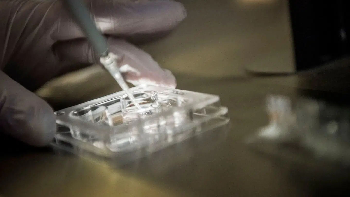 Danfert & Stork Fertilitetsklinik blev stiftet for 13 år siden og var et af de første firmaer til at hjælpe danskere med at blive gravide.