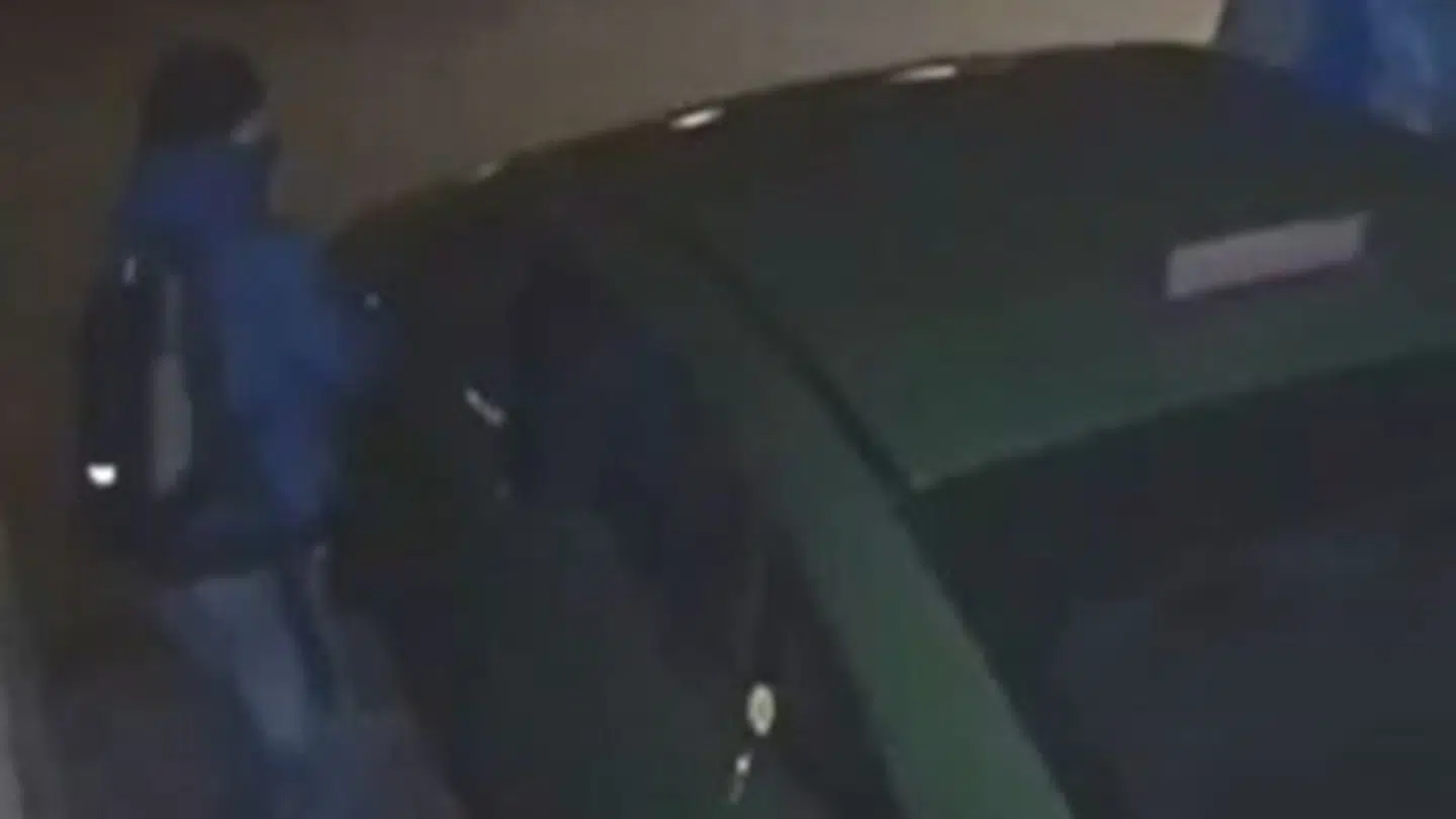 Tyvene stjæler sidespejlene på ganske få sekunder. Her ses en af dem i aktion.