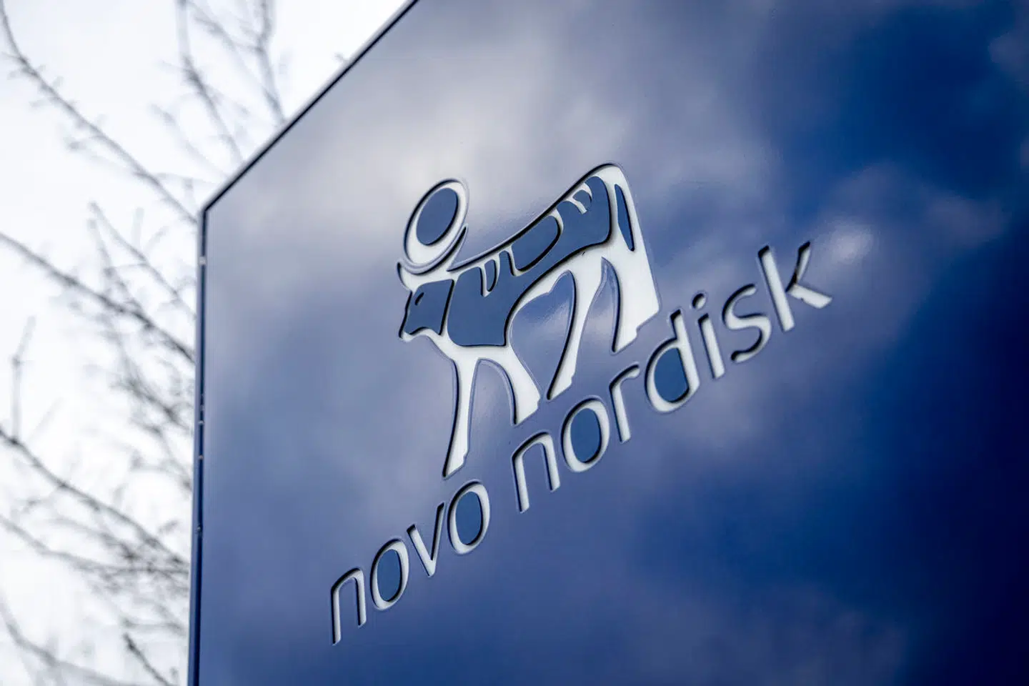 Novo Nordisk i Bagsværd onsdag den 31. januar 2024.. (Foto: Mads Claus Rasmussen/Ritzau Scanpix)