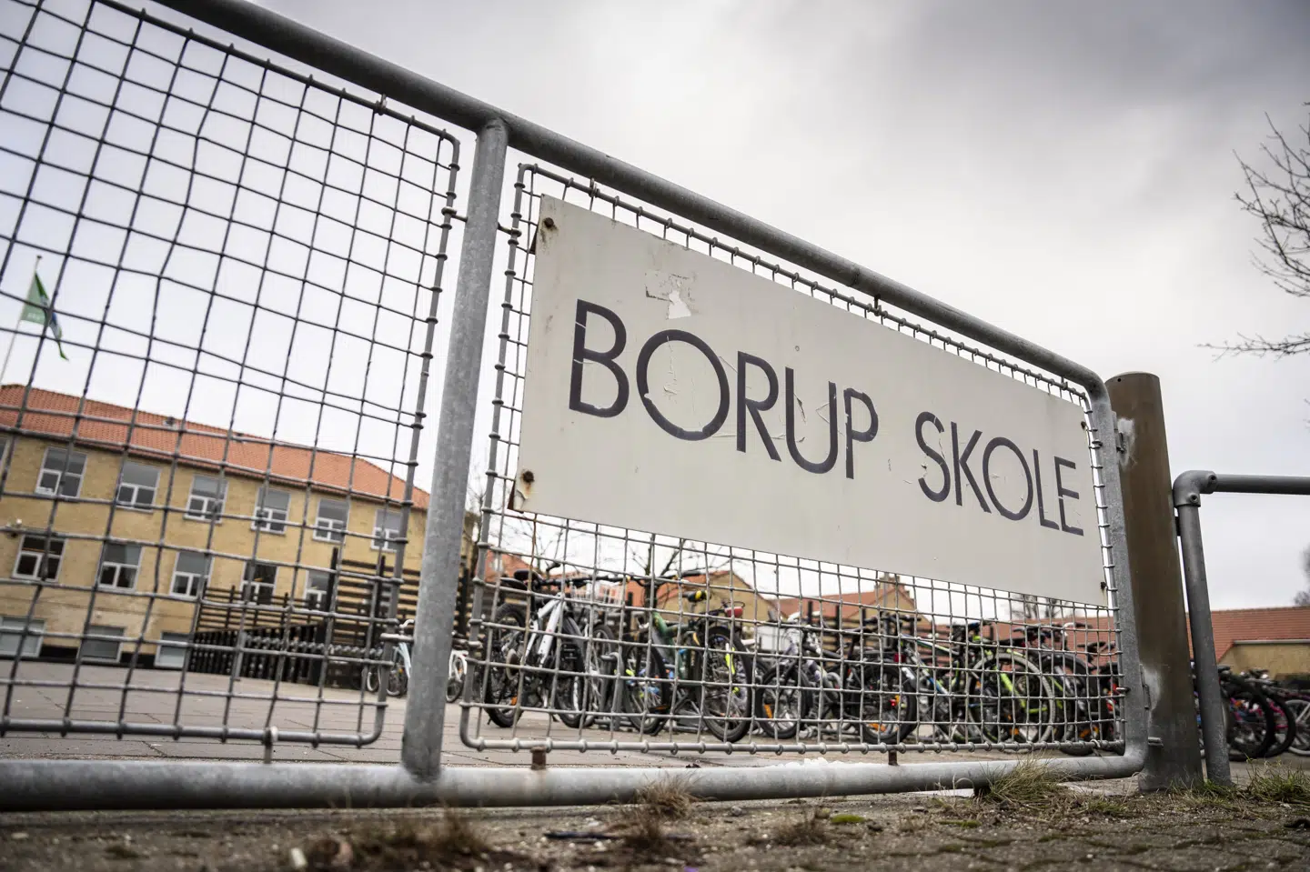 Sagerne på Borup Skole handler om, at elever i indskolingen angiveligt har oplevet grænseoverskridende adfærd fra jævnaldrende elever.