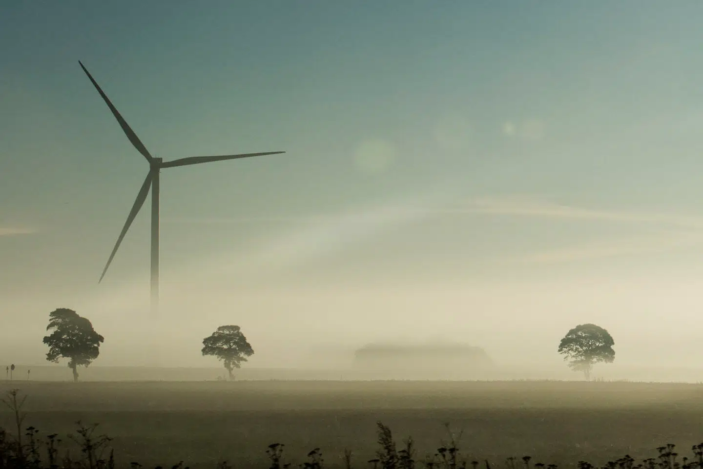 Der er store forskelle på, hvad der ligger i de såkaldte bæredygtige investeringer i de forskellige pensionsselskaber. Det viser sig eksempelvis ved, hvilke af de store og toneangivende aktier på det globale marked de har investeret i. Aktierne er Alphabet (Google), Amazon, Apple, Meta, Microsoft, Nvidia og Tesla, og de har drevet en meget stor del af den stigning, der over det seneste år er sket på aktiemarkedet.