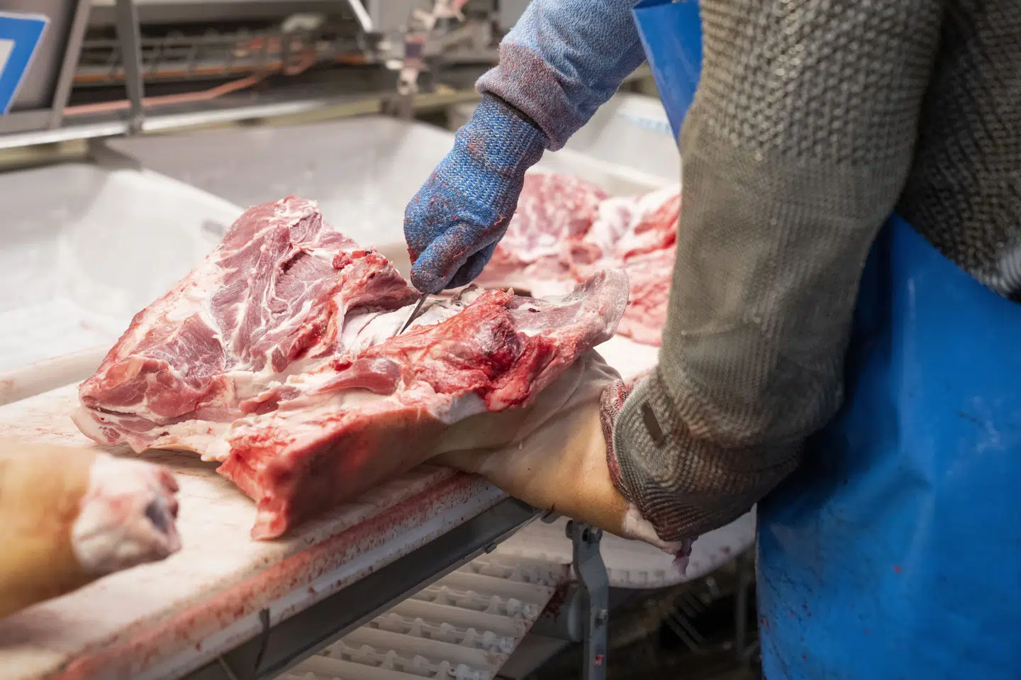 Slagteriarbejdere er ofte ufaglærte, og i yderkantsområder kan det være svært at få nyt job, hvis CO2-afgiften lukker arbejdspladser i fødevarebranchen, siger NNF. (Arkivfoto).