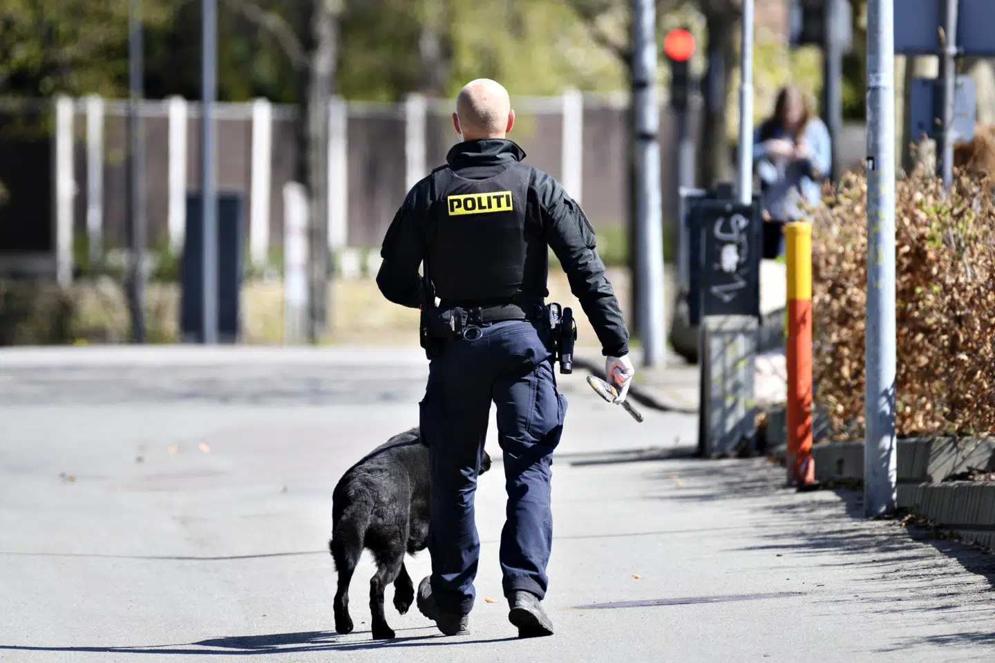 Natten til lørdag ledte Syd- og Sønderjyllands Politi med politihunde i et område, hvor en tiårig dreng var forsvundet. Også helikoptere var i luften lørdag. Men lørdag er drengen fundet i god behold efter et døgns eftersøgning. (Arkivfoto).