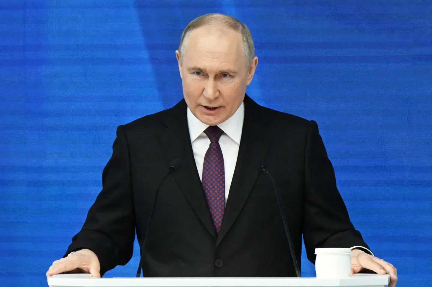 Tysklands forsvarsminister beskylder Ruslands præsident, Vladimir Putin, for at forsøge at så splid internt i Tyskland. (Arkivfoto)