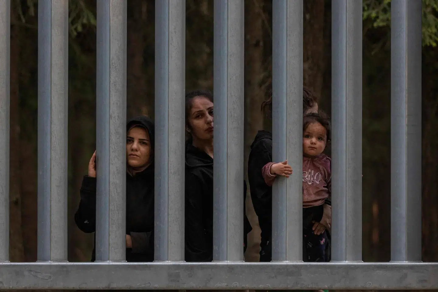 Her migranter ved grænsen mellem Belarus og Polen, hvor sidstnævnte har bygget et stort hegn for at kunne kontrollere grænseovergangen.