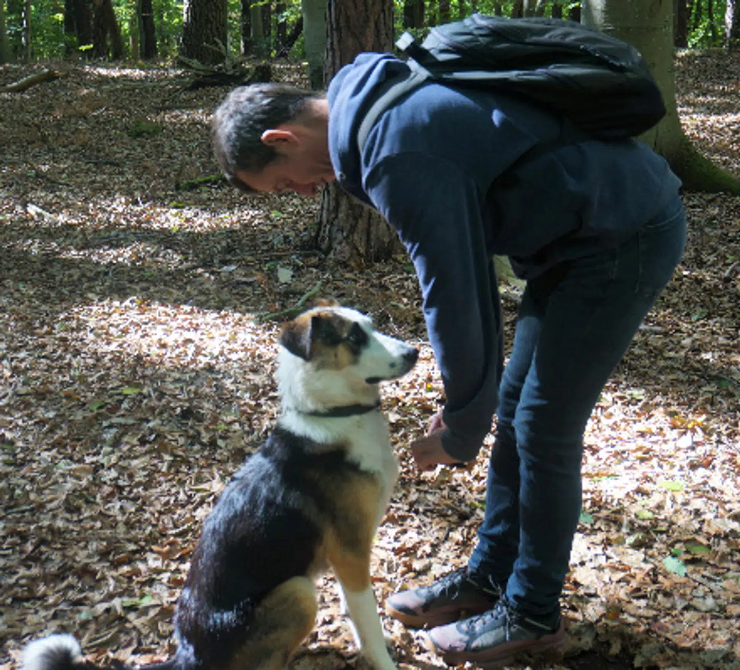 Her ses et af de billeder, som det tyske politi har offentliggjort.