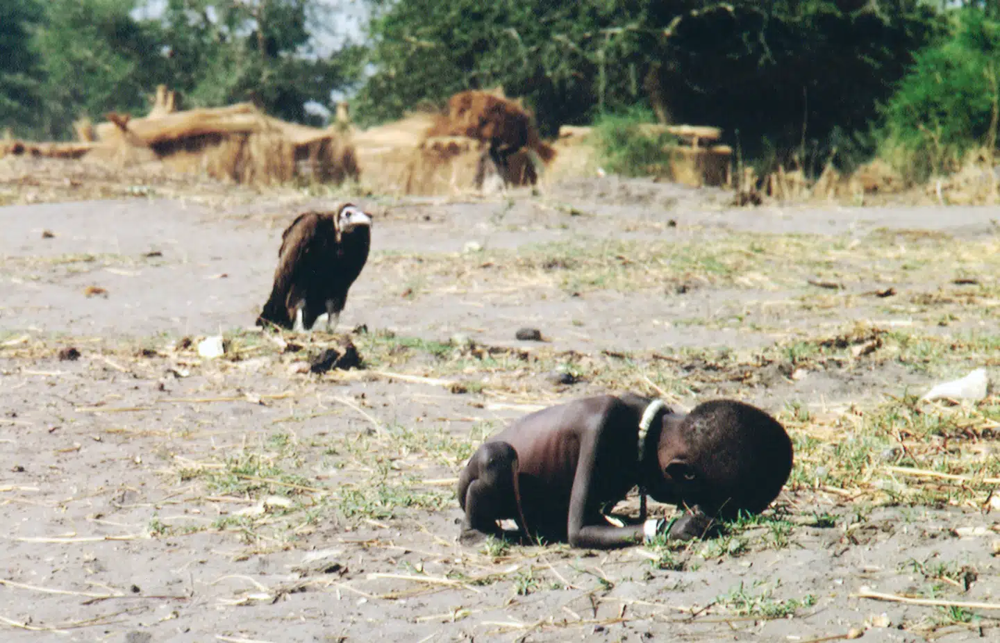 For 30 år siden vandt Kevin Carter den måske fornemmeste fotopris – Pulitzerprisen – for dette billede af en grib og et sultende barn. Barnet overlevede. Men Kevin Carter gjorde ikke.