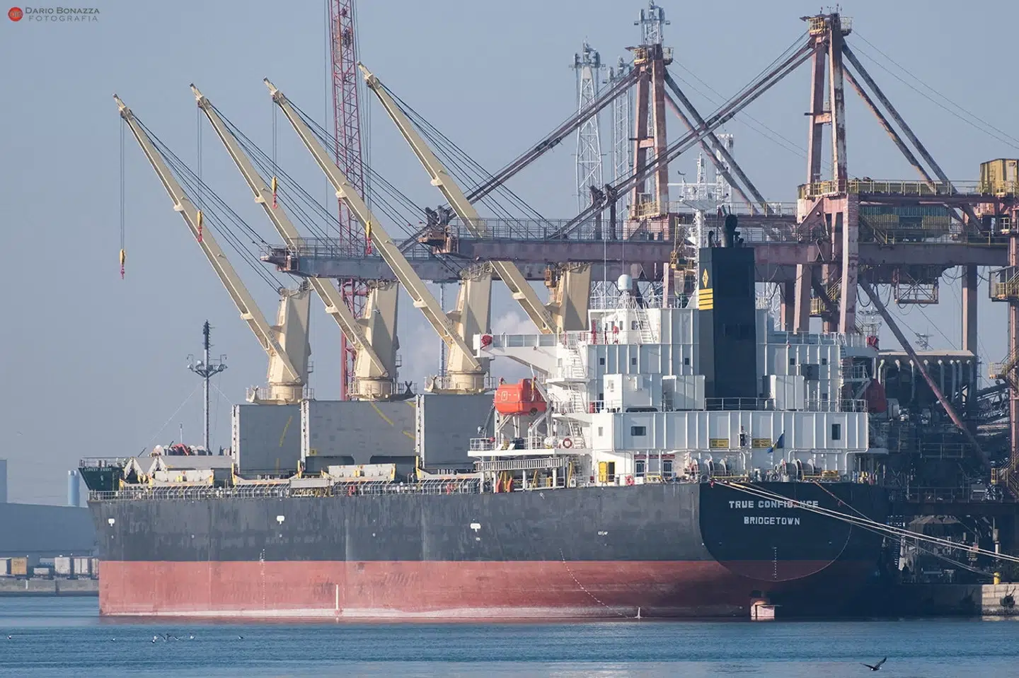 Fragtskibet "True Confidence", som onsdag er blevet angrebet, ses her i en italiensk havn i 2022. (Arkivfoto).