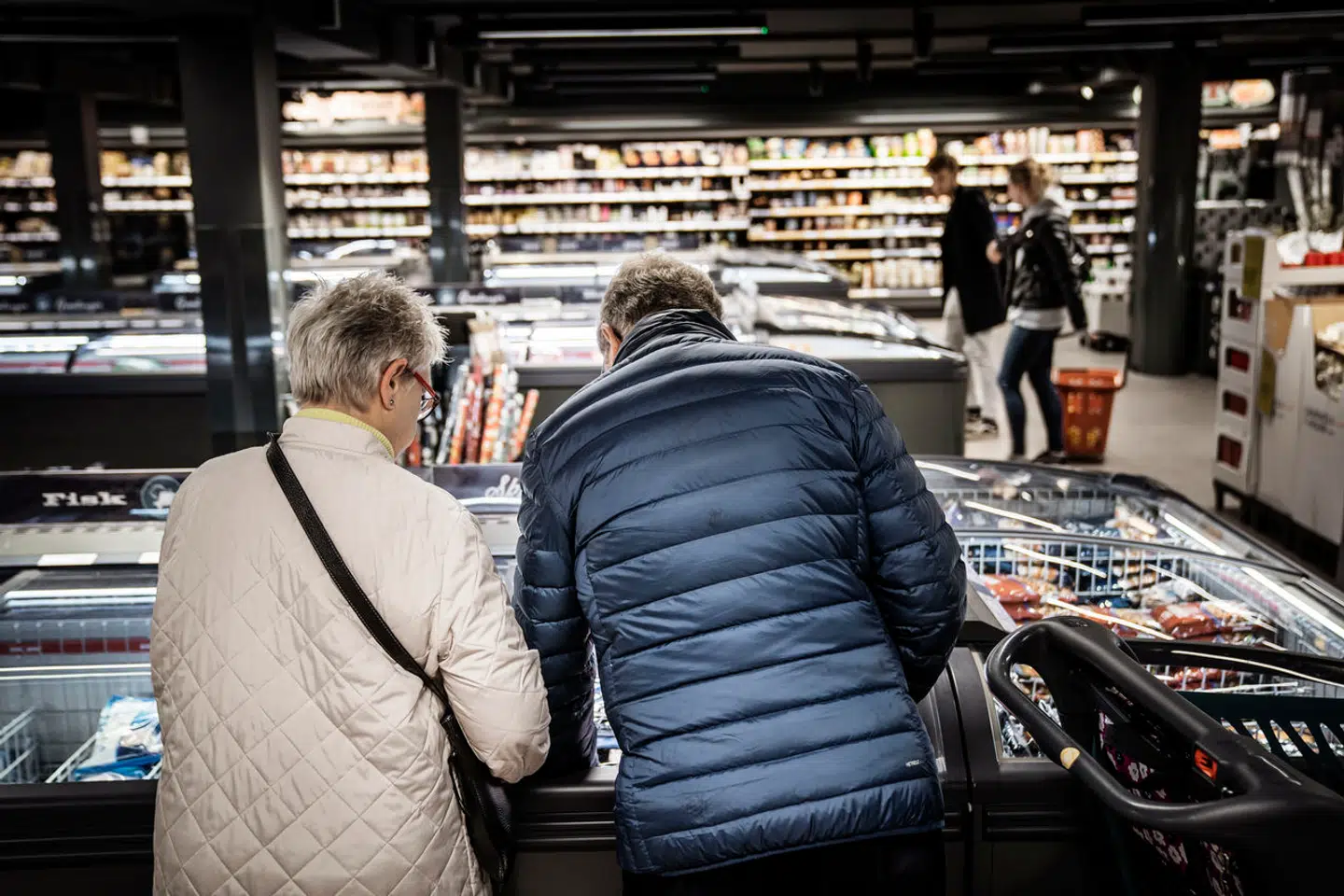 Den eneste farbare vej er at begrænse forbruget af landbrugsvarer i Danmark. Det vil sige en miljøafgift i køledisken eller rationeringsmærker på landbrugsvarer til os danskere. Måske tilskud til plantebøffer, mener Ib Mogensen.
