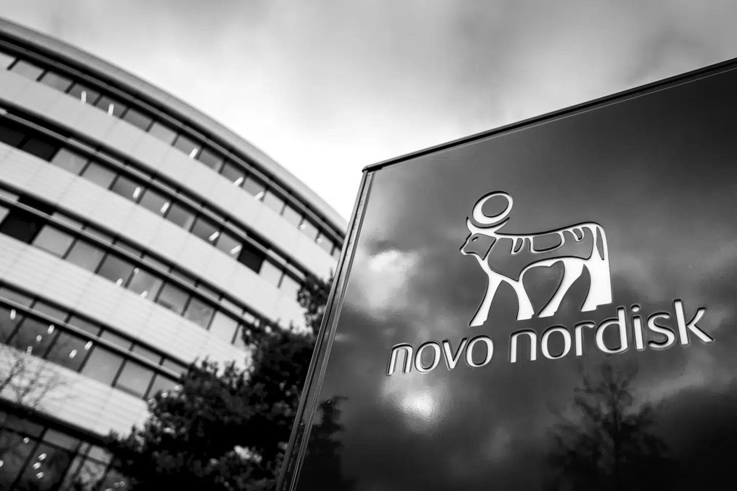 Novo Nordisk har nu en markedsværdi på mere end 4.000 milliarder kroner.