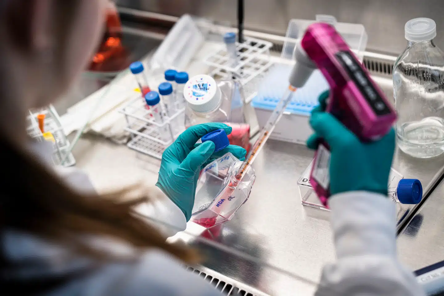 For et lille land som Danmark, der er så afhængigt af forskning og innovation, er det ikke bare en mulighed – men en nødvendighed – at samarbejde med vores europæiske kolleger, lyder budskabet fra 12 organisationer.