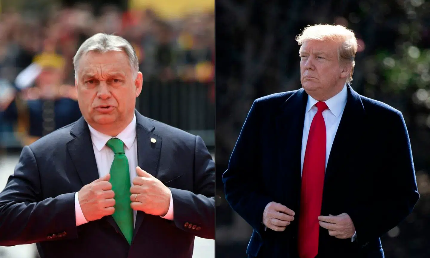 Ungarns premierminister, Viktor Orbán, har flere gange givet udtryk for, at Trump er den eneste, der kan gøre en ende på krigen i Ukraine.