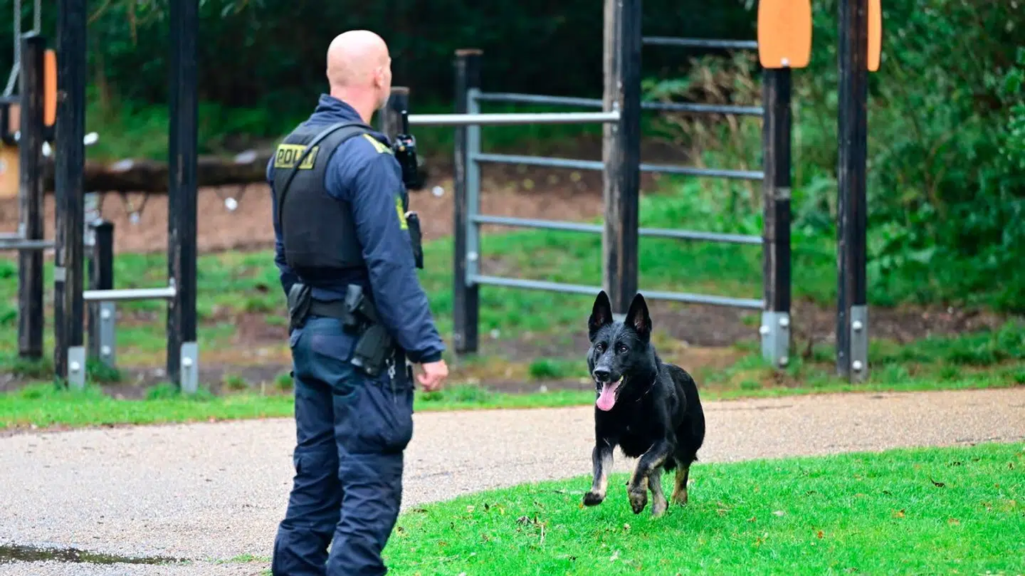 Politiet troede i første omgang, at drabet var sket i et grønt område ved Utterslev Mose i Brønshøj, men siden viste det sig, at det egentlige gerningssted var en industrigrund i Hvidovre.