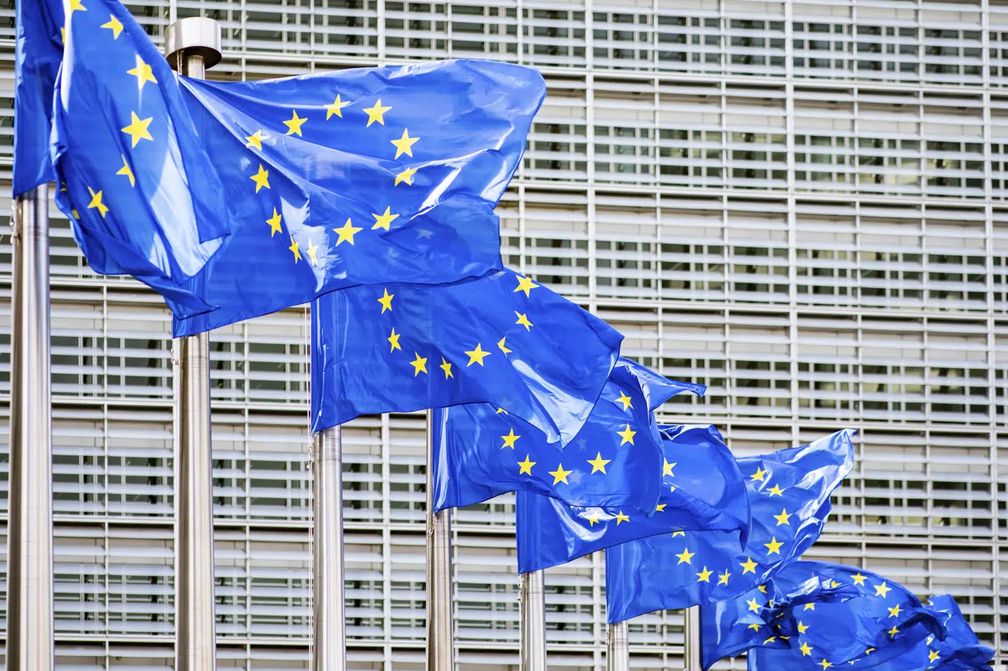 EU har 27 medlemslande. Flere kan være på vej. (Arkivfoto).