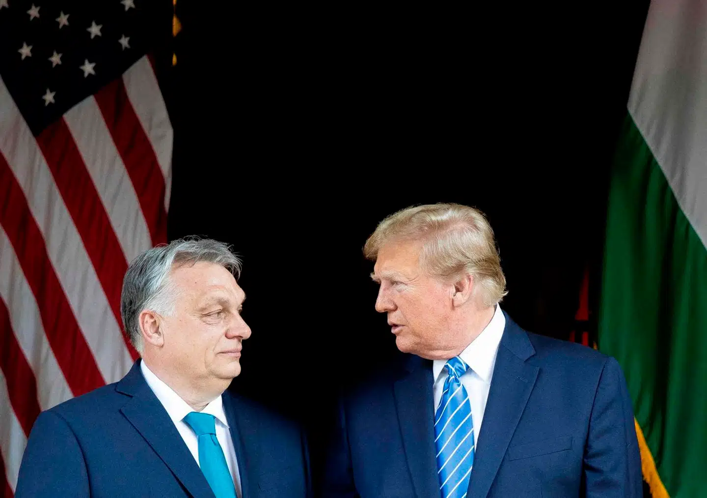 Orbán er den eneste europæiske leder, der åbent støtter genvalget af Trump. Foto: Zoltan Fischer, Scanpix